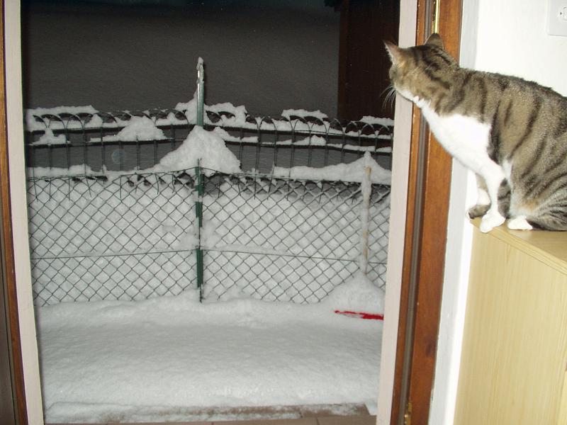 Immagine o video 045.JPG